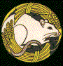 Rat